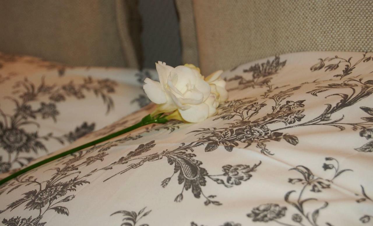 Friedleina 7 Kamienica Prezydencka Apartment คราคูฟ ภายนอก รูปภาพ